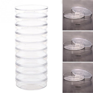 10Pcs/Set 60mm Polystyrene Petri Dishes Affordable For Cell Clear Sterile Chemical Instrument Drop Shipping